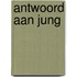 Antwoord aan Jung