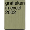 Grafieken in Excel 2002 by D. Holthuijsen