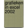 Grafieken in Excel 2002 door D. Holthuijsen