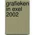 Grafieken in Exel 2002