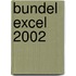 Bundel Excel 2002