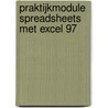Praktijkmodule Spreadsheets met Excel 97 by W.F.J. Geers