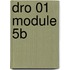 DRO 01 module 5B