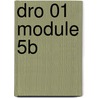 DRO 01 module 5B door W. Dommerholt