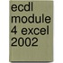 ECDL module 4 Excel 2002