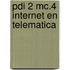 PDI 2 MC.4 internet en telematica