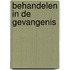 Behandelen in de gevangenis