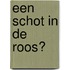 Een schot in de roos?