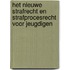Het nieuwe strafrecht en strafprocesrecht voor jeugdigen