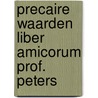 Precaire waarden liber amicorum prof. peters door Onbekend