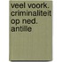 Veel voork. criminaliteit op ned. antille