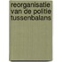 Reorganisatie van de politie tussenbalans