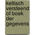 Keltisch versteend of boek der gegevens