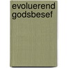 Evoluerend godsbesef door Andrew Vandenberg