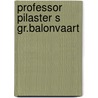 Professor pilaster s gr.balonvaart by Felix Timmermans