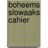 Boheems slowaaks cahier by Willie Verhegghe