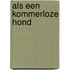 Als een kommerloze hond