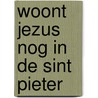 Woont jezus nog in de sint pieter door Rutke