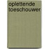 Oplettende toeschouwer