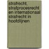 Strafrecht, strafprocesrecht en internationaal strafrecht In Hoofdlijnen