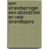 Een strandspringer, een strandzitter en vele strandlopers