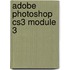 Adobe Photoshop CS3 Module 3