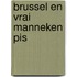 Brussel en vrai manneken pis