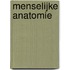 Menselijke anatomie