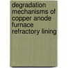 Degradation mechanisms of copper anode furnace refractory lining door V. Petkov