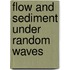 Flow and sediment under random waves