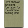 ultra shallow junctions formation for the ultimate scaling limit door S. Severi