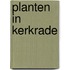 Planten in Kerkrade