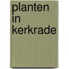 Planten in Kerkrade door B. Rensink