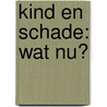 Kind en Schade: wat nu? door S. Lindenbergh