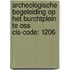 Archeologische begeleiding op het Burchtplein te Oss CIS-code: 1206