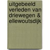 Uitgebeeld verleden van Driewegen & Ellewoutsdijk door C. van den Bovenkamp