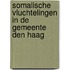 Somalische vluchtelingen in de gemeente Den Haag