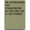 De miniwoestijn van Maspolamas en het zilte nat in het midden by B. Rensink