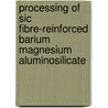 Processing of SiC fibre-reinforced barium magnesium aluminosilicate door K. Lambrinou