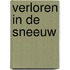 Verloren in de sneeuw