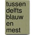 Tussen Delfts blauw en mest