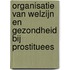 Organisatie van welzijn en gezondheid bij prostituees