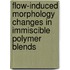 Flow-induced morphology changes in immiscible polymer blends