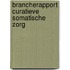 Brancherapport curatieve somatische zorg