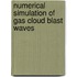 Numerical simulation of gas cloud blast waves