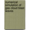 Numerical simulation of gas cloud blast waves door B. van der Straeten