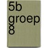 5b Groep 8