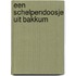Een schelpendoosje uit Bakkum
