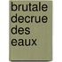 Brutale decrue des eaux