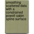 Smoothing scattered data with a constrained Powell-Sabin spline surface